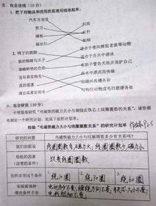 人教版六年级上册科学复习教学计划