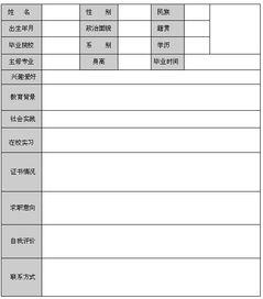 大学生简历模板范文 大学生英语简历范文模板