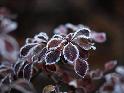 谷雨时节护肤 霜降时节如何护肤