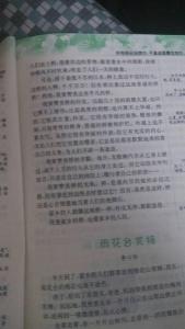 描写公园景色的作文 五年级描写公园景色的作文