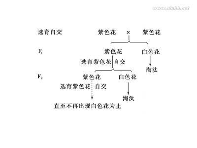 一封心酸的分手信 心酸分手句子