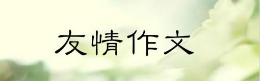 友情最珍贵作文500字 友情最珍贵初一作文800字4篇