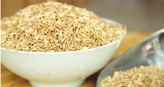 燕麦粥的功效与作用 燕麦的功效与作用及禁忌