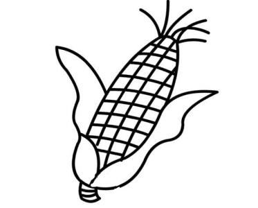 玉米简笔画图片大全 如何画玉米的简笔画图片，玉米简笔画图片