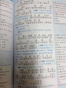 初中生读后感600字 初中生读后感