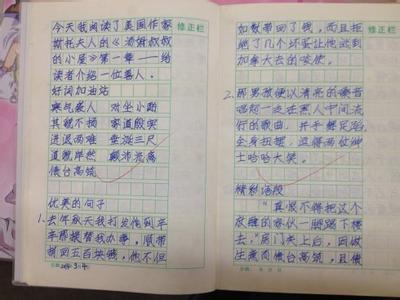 读书笔记作文500字 呐喊读书笔记500字作文