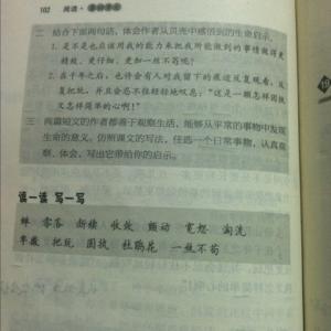 关于生命的记叙文 关于生命的范文