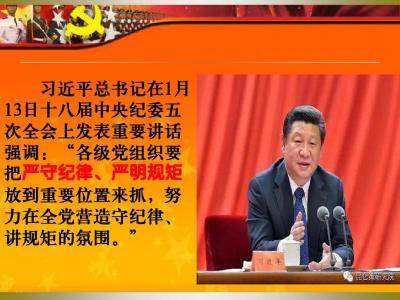 严守规矩 规范言行 党员查纪律规矩严不严树崇严尚实言行准则发言材料