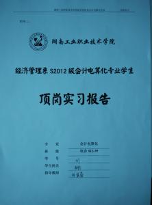 顶岗实习工作总结报告