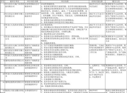 审计总体工作计划表 审计工作计划表