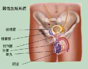 右下腹部隐痛的原因 右下腹部隐痛有什么原因_右下腹部隐痛怎么回事