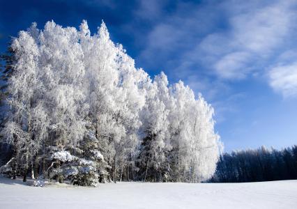 描写冬天的散文 关于描写冬天的散文_有关冬天的散文