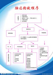 脑疝的急救与护理措施 脑疝的急救护理措施