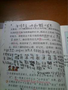 亲近大自然作文300字 亲近大自然作文450字