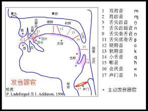 唱高音技巧和发声方法 唱高音发声方法 唱高音发声方法