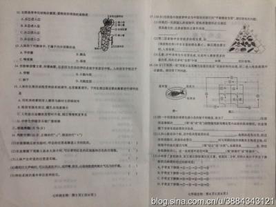 七年级下学期期末试卷 七年级生物下学期期末综合检测试卷