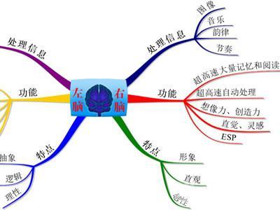 如何开发右脑记忆 如何开发右脑记忆法