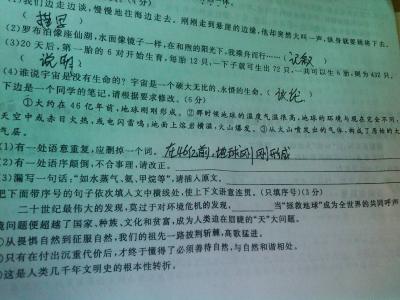 初中教师学期工作总结 初中语文教师学期总结