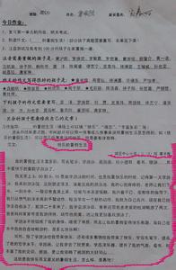 快乐的暑假作文 关于快乐暑假的作文800字