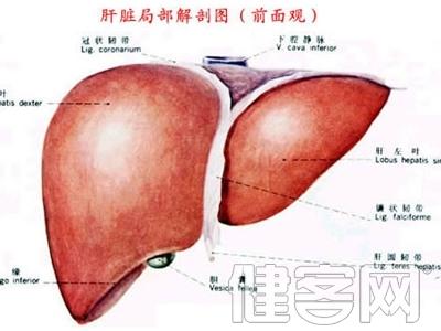 肝病的症状表现 得了肝病有何症状 肝病的症状表现