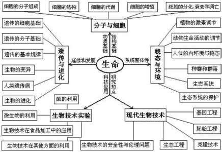 基因芯片操作步骤 什么是基因工程 基因工程的操作步骤