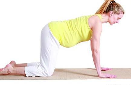 孕晚期瑜伽有哪些练习体式