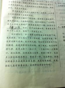 初一语文课外阅读训练 初一语文课外阅读题