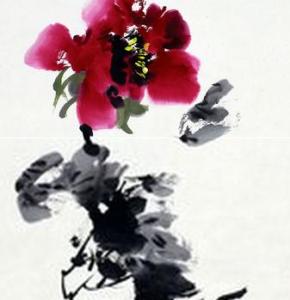 中国画写意牡丹视频 大写意中国画牡丹图片