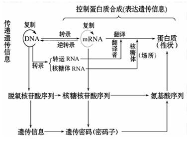 高中生物知识点总结 高中理基生物知识点总结