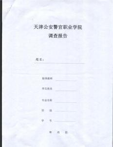 调研报告格式模板范文 大学生调研报告格式范文