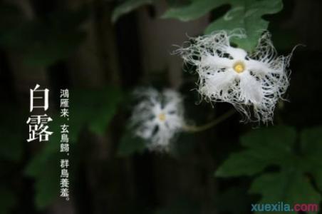 白露养生 白露时节养生有什么招数