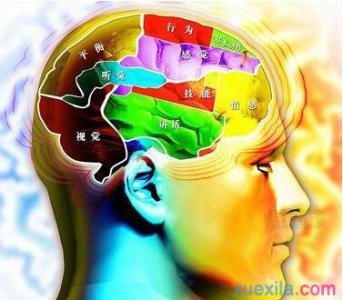 右脑图像记忆法 右脑图像记忆方法和实践
