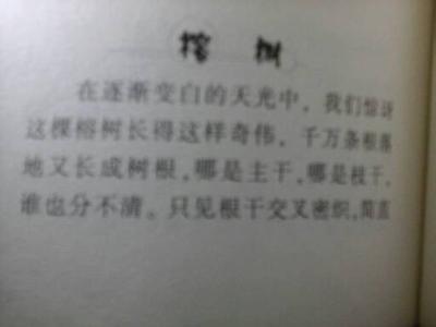 关于奋斗的好句 奋斗向上的好词好句