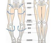 青少年罗圈腿怎么矫正 青少年罗圈腿是怎么形成的