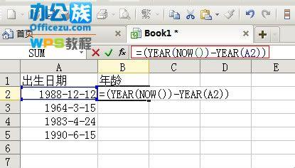 wps表格年龄计算公式 WPS表格怎么准确计算出员工年龄