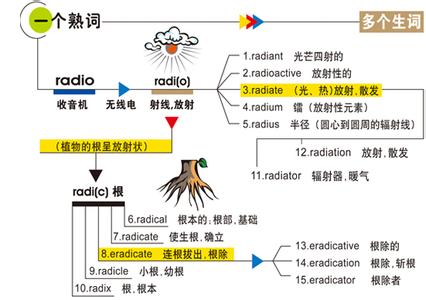 六级单词记忆软件 构词分析法记忆六级单词