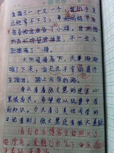 下雪了作文600字 下雪了作文600字_关于写雪的作文600字