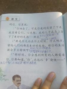 给高尔基的一封信 儿子回给高尔基的一封信