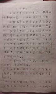 暖春观后感 暖春观后感450字5篇