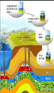 石油形成原因 石油是怎样形成的 石油的形成原因