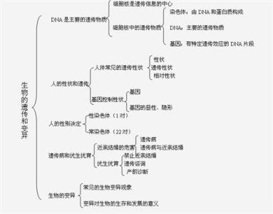 高中生物知识点梳理图 高中生物遗传规律知识点梳理