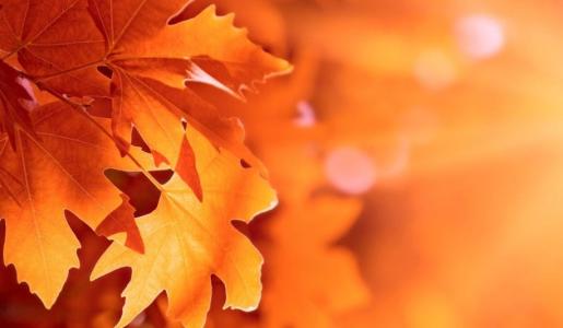 关于秋天的散文诗歌 描写秋天的散文诗歌，关于秋天的散文诗歌