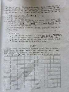 初二数学上册期中试卷 乐清市初二上册语文期中检测题