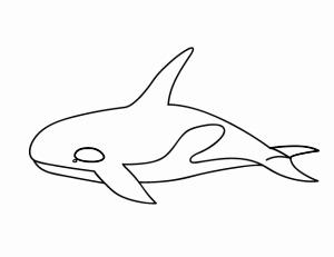 简笔画动物图画大全 动物图画大全虎鲸简笔画步骤