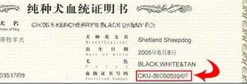 狗狗血统证书 如何看待狗狗的血统证书
