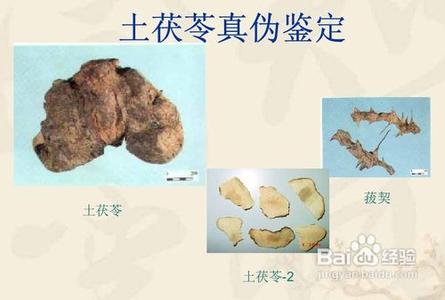 中药饮片鉴别应用图谱 中药饮片易混品种鉴别