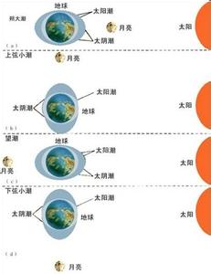 在讨论地球潮汐成因时 潮汐成因另探