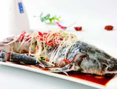 中华鲟鱼的做法 好吃的鲟鱼菜肴做法