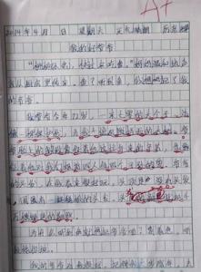 关于我的奶奶的作文 描写我的奶奶作文400字