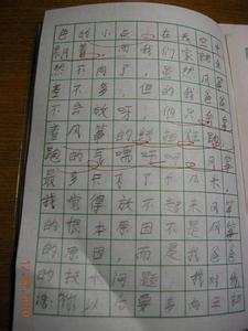 放风筝的作文三年级 放风筝的作文三年级作文600字6篇